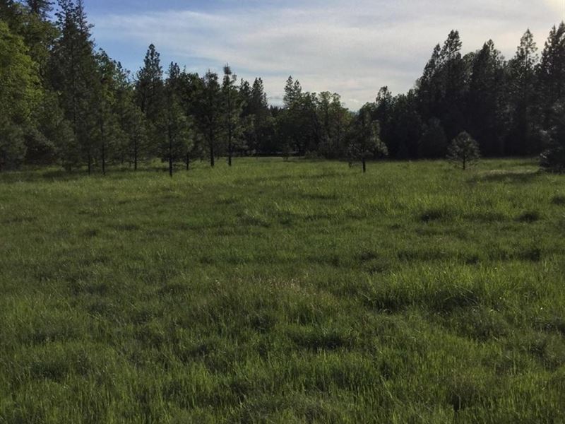 This 15.17 Acres Land, Endless : Cave Junction : Josephine County : Oregon