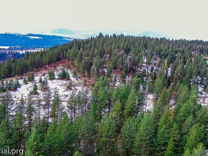 Eastern Oregon Hunting Farm Oregon, Farm for Sale in Oregon, 172700