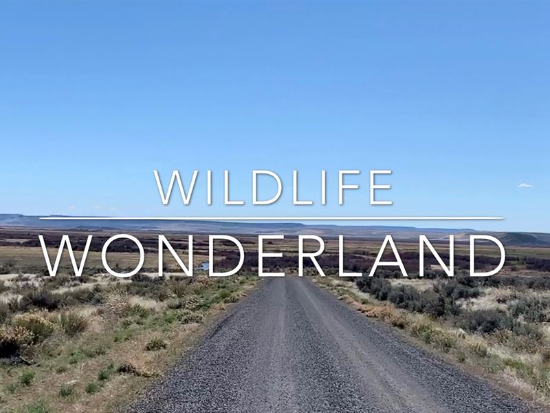 Wildlife Wonderland Boarding, Farm for Sale in Oregon, 172707 FARMFLIP