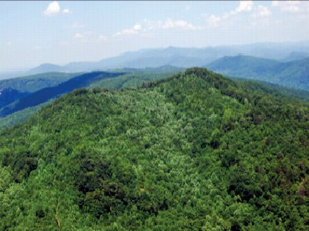 Mountain Investment Bank-owned : Union Mills : Rutherford County : North Carolina