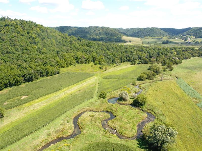77.5 Acres Hunting Fishing Land WI, Farm for Sale in Wisconsin, 173034