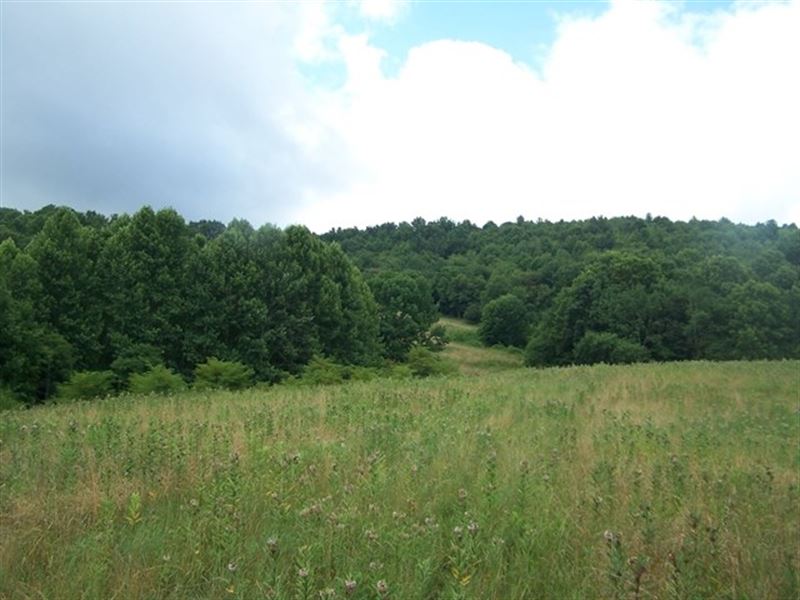 Acreage Joining Jefferson National : Troutdale : Grayson County : Virginia