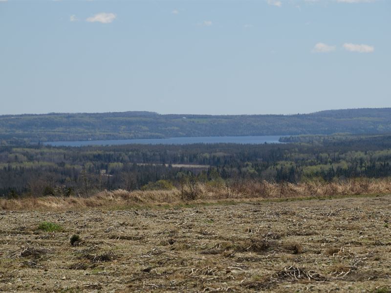 Maine Farmland in Cross Lake Twp, Farm for Sale in Maine, 173398