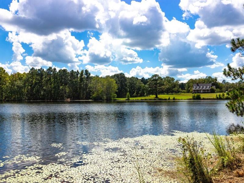 Chainey Briar Farm Farm for Sale in Metter, Candler County,