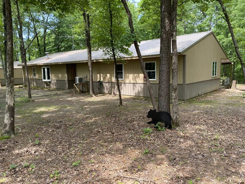 Ozark National Forest Cabin : Ozone : Johnson County : Arkansas