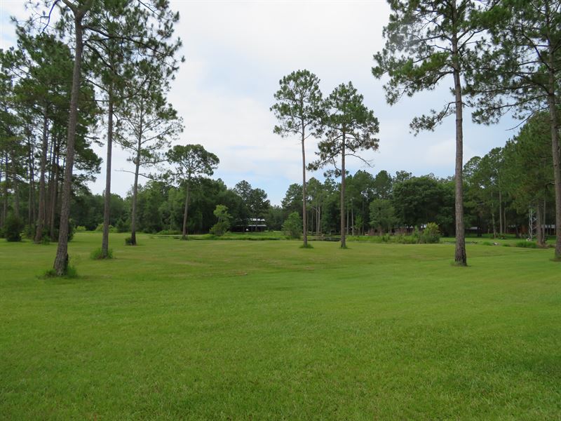 Lot Of Game in A Private Setting : Wacissa : Jefferson County : Florida