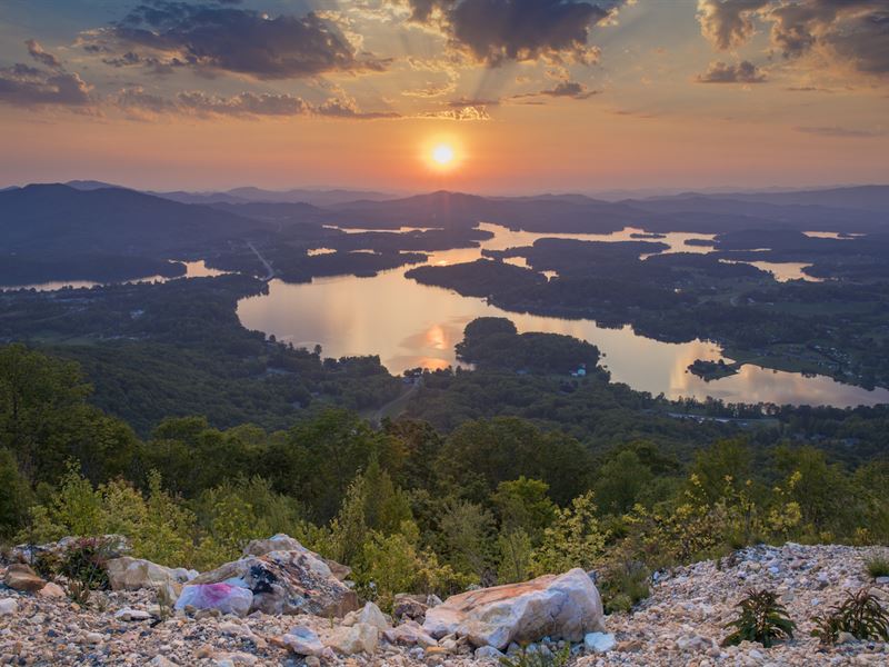 Lake Access Estate, Farm for Sale in North Carolina, 173697 FARMFLIP