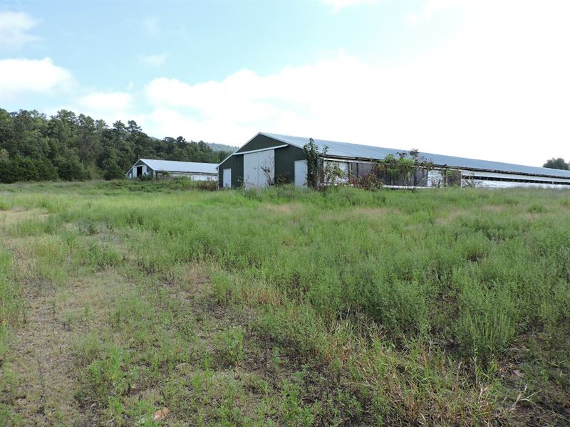 Poultry Farm Potential with Land, Farm for Sale in Arkansas, 173810
