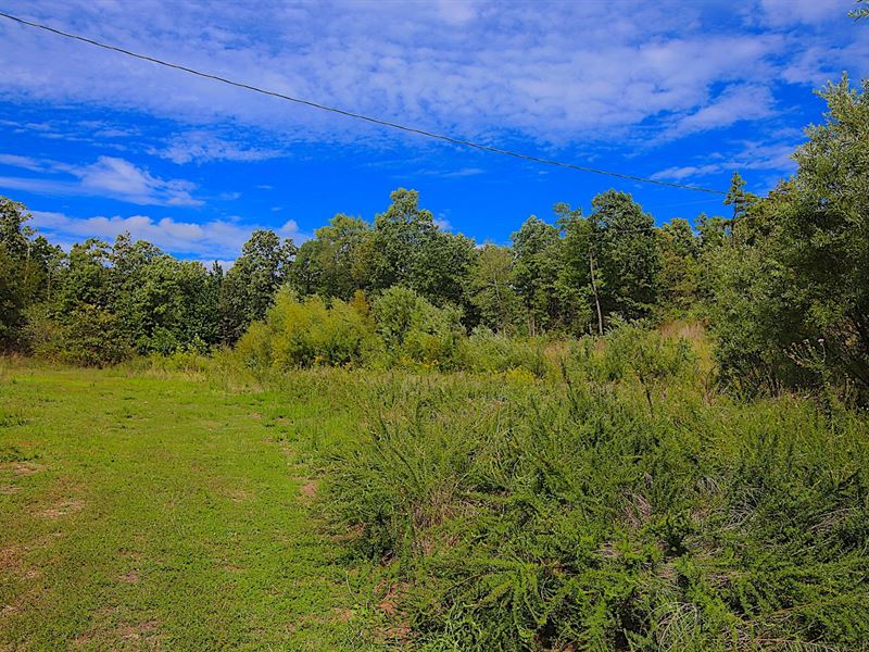 Land for Sale in The Ozarks, Farm for Sale in Missouri, 173967 FARMFLIP