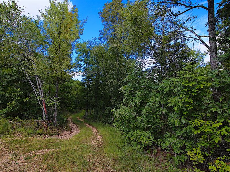 Riverfront Property in Missouri, Farm for Sale in Missouri, 173978