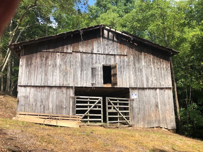 Lot Williamson County, Farm for Sale in Tennessee, 174154