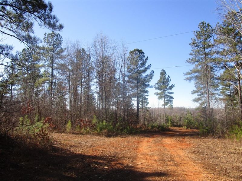 56.24 Acres in Lunenburg County, VA, Farm for Sale in Virginia, 174257