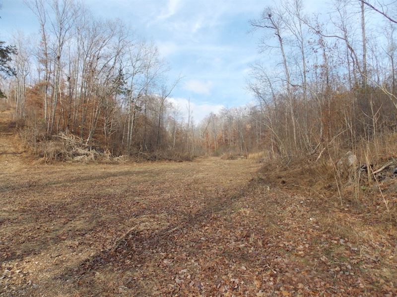 Unrestricted Land Owner Financing : Linden : Perry County : Tennessee