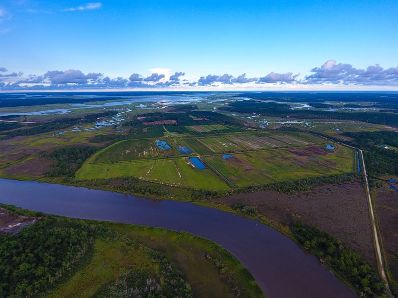 Edisto Duck Preserve : Edisto : Charleston County : South Carolina