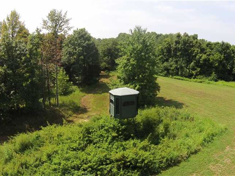 286 Acres, Hunting Property, Tro, Farm for Sale in Kentucky, 174640