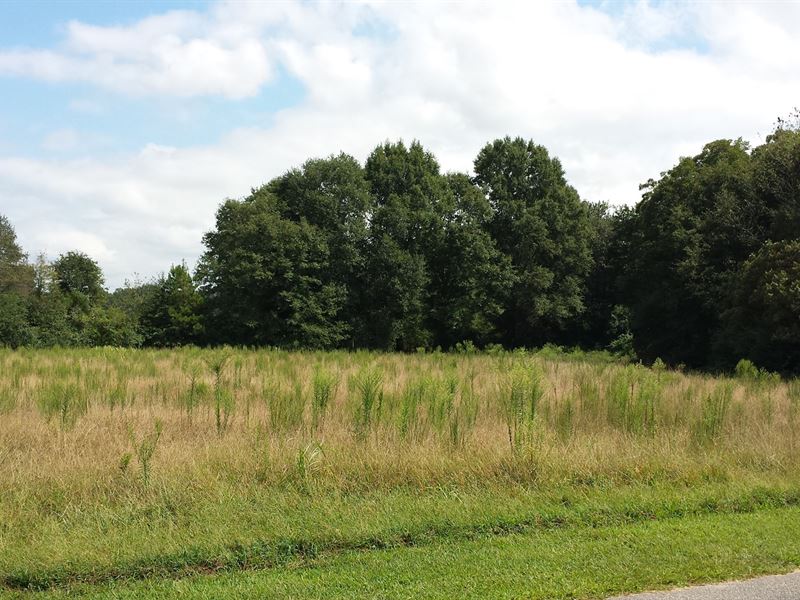 Reedy Fork Tracts : Pelzer : Greenville County : South Carolina