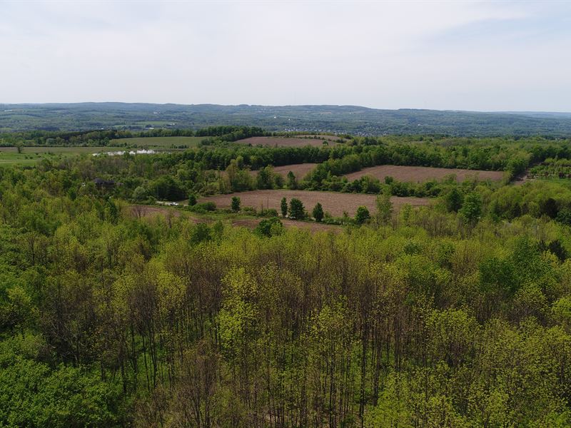 Sloping Land Site Great for A Home : Manlius : Onondaga County : New York