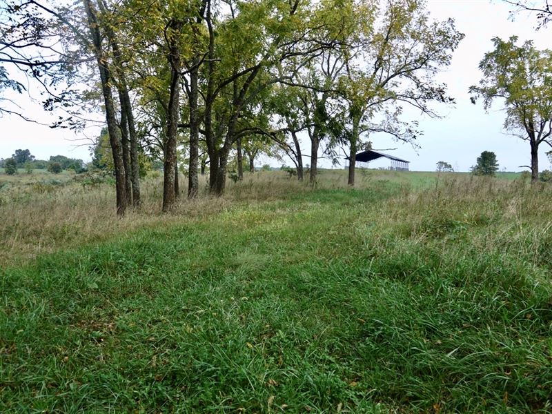 Southern Missouri Cattle Farm : Wasola : Ozark County : Missouri