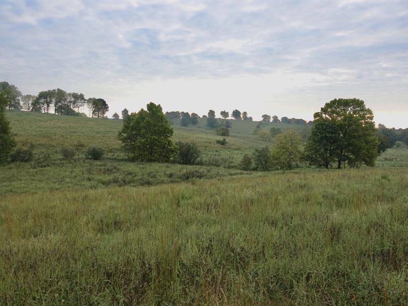 Farm for Sale in Southern Missouri, Farm for Sale in Missouri, 174838