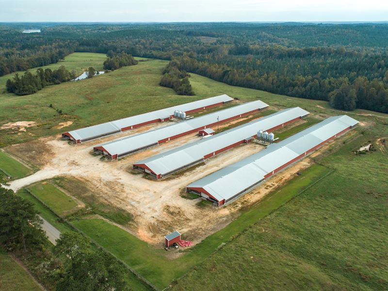 Poultry Farm with 4 Mega Houses : Roanoke : Randolph County : Alabama