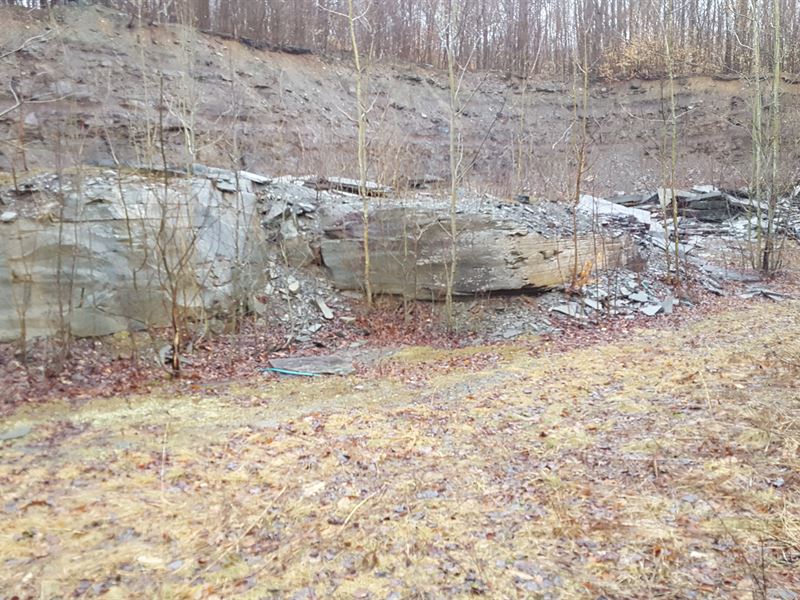 227 Acres with River Frontage, Farm for Sale in New York, 175247