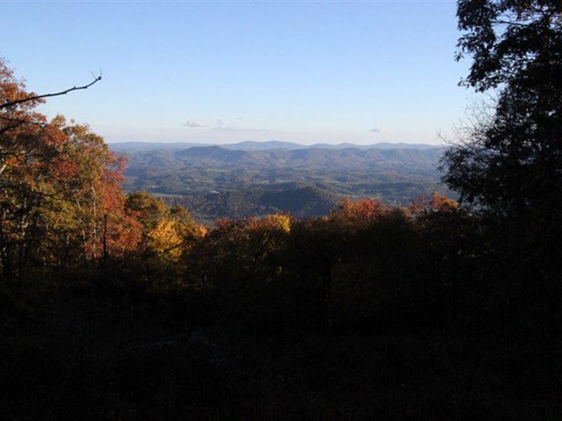Lot P6 Point Lookout Mountain, Farm for Sale in Virginia, 175329