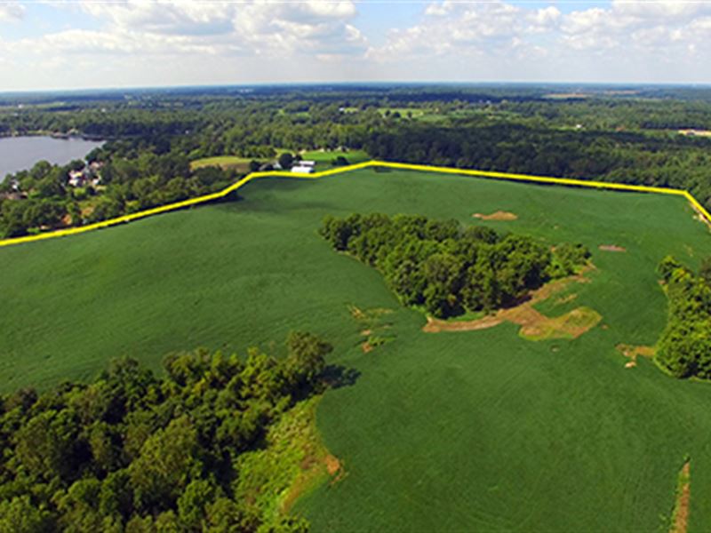 Land Auction, 164+/- Ac, 7 Tracts : Hudson : Lagrange County : Indiana