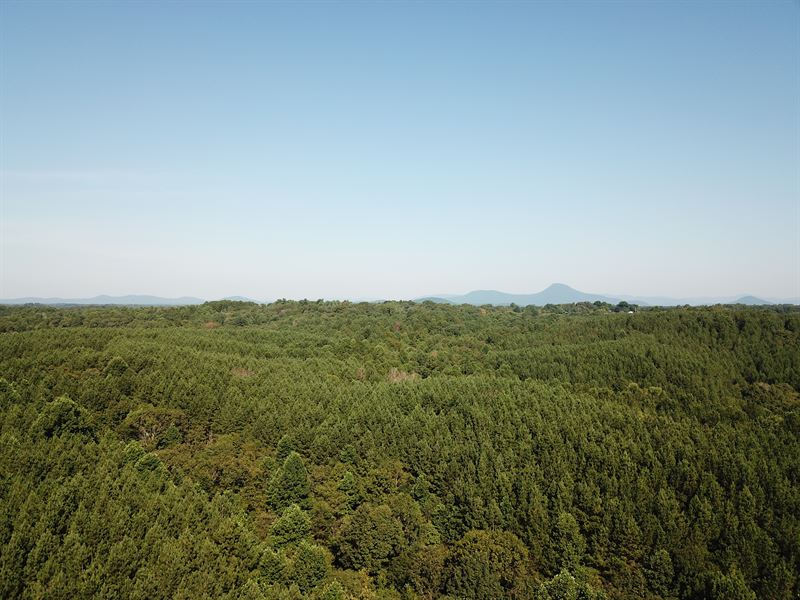 Habersham County Timber Tract : Demorest : Habersham County : Georgia