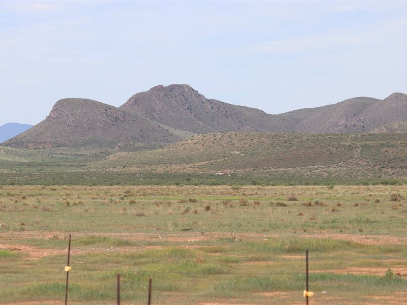 38 Prime Acres Southeast AZ Willcox, Farm for Sale in Arizona, 175456