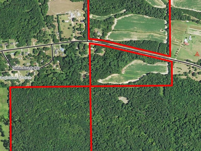 Farmland Hunting Land & Timberland Farm for Sale in Sardis, Dallas