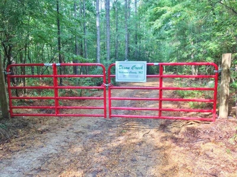156 Acre Hunting Tract Hardwoods Cr : Gloster : Wilkinson County : Mississippi