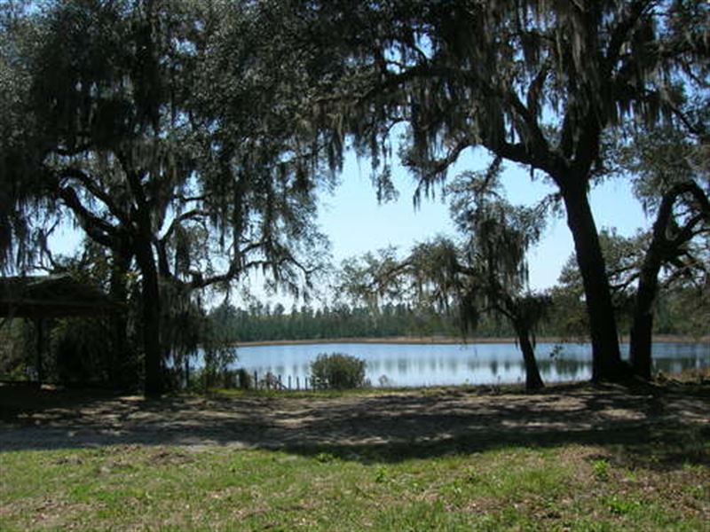 350 Acre Ranch : Melrose : Bradford County : Florida