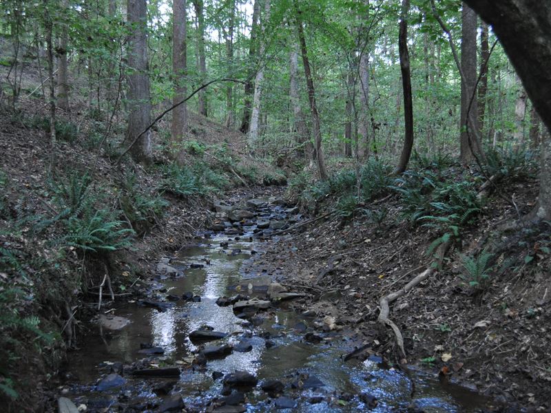 Shaw Tract : Madison : Morgan County : Georgia