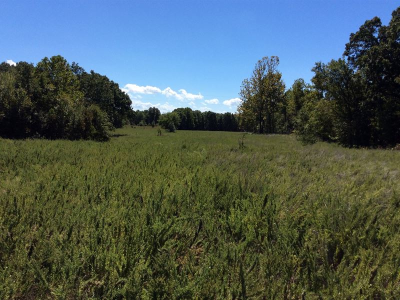 385 Acres For Hunting Farm for Sale in Locust Grove, Mayes County