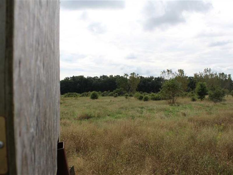 128 Acres Recreational Retreat Loc : Geneva : Adams County : Indiana