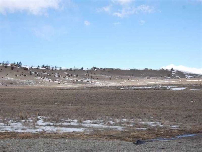 Shields River Valley Gem Ii Farm for Sale in Clyde Park, Park County