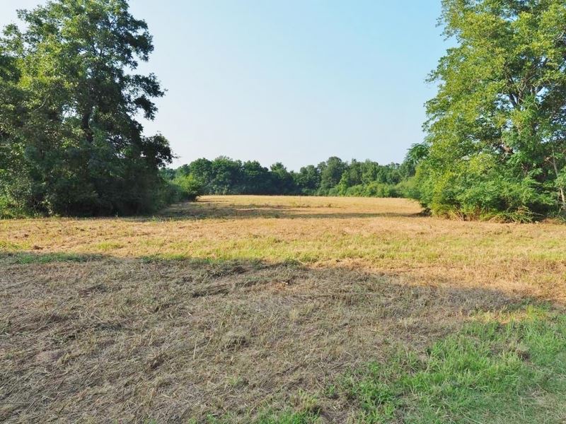 280 Acres Hunting Land For Sale Sou Farm for Sale in Prentiss