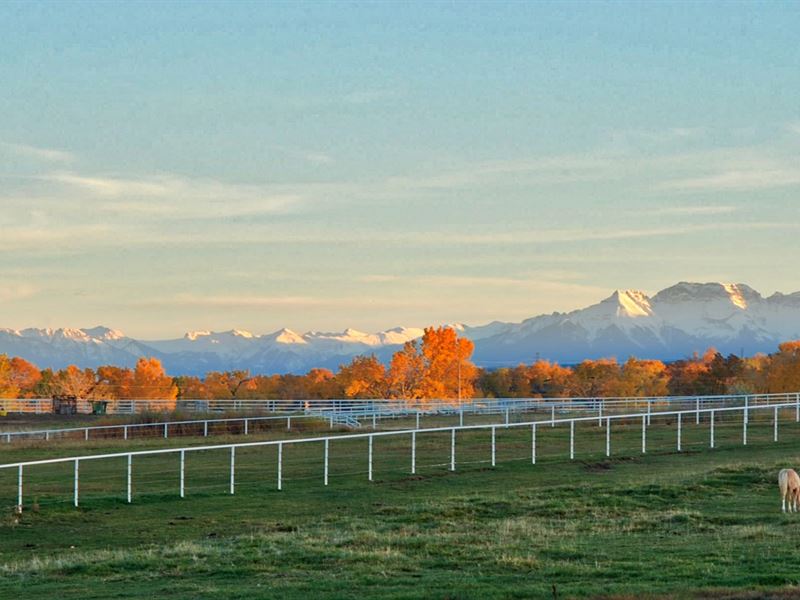 Equestrian Horse Ranch Montrose, Farm for Sale in Colorado, 176288