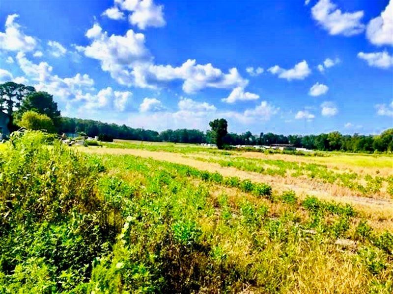 Beaufort County Nc Farm for Sale, Farm for Sale in North Carolina, 176391 FARMFLIP