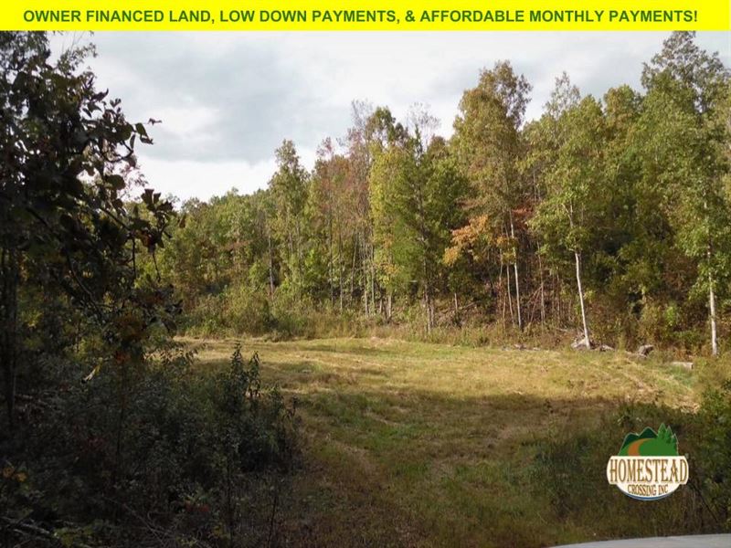 Large Parcel, Two Clearings Nf : Birch Tree : Shannon County : Missouri