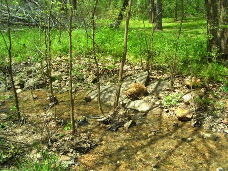 Story 293 : Ft.towson : Choctaw County : Oklahoma
