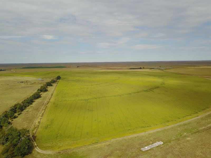 Lisco Pivots and Range, Farm for Sale in Nebraska, 177051 FARMFLIP