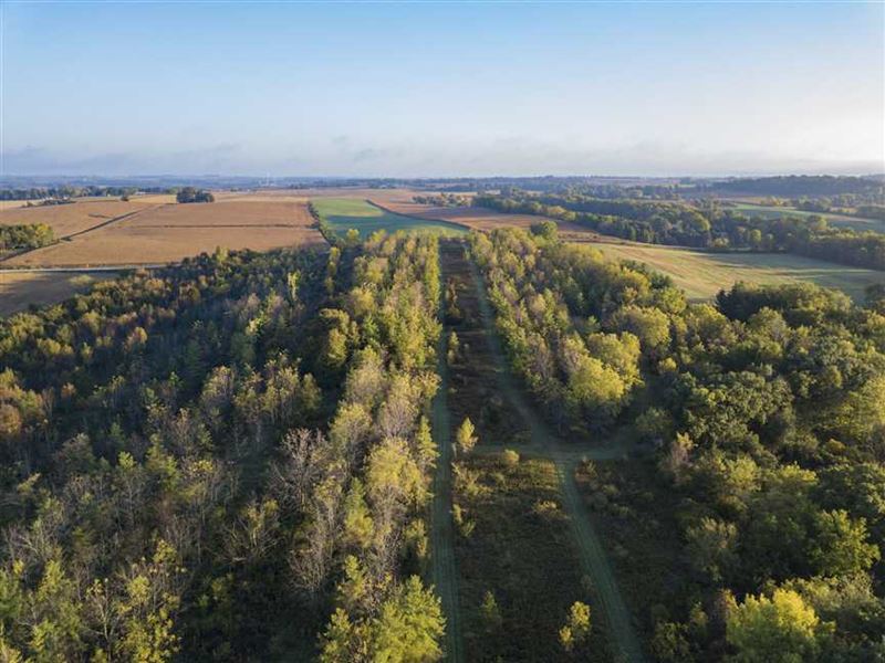 78 Acres Mol for Sale Near Mayvill, Farm for Sale in Wisconsin, 177072