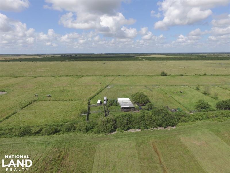 Goldenrod Premium Farmland Tract, Farm for Sale in Florida, 177077