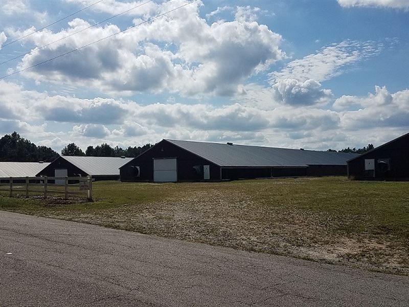 Robinson Farm, 4 House Broiler Farm, Farm for Sale in 177154