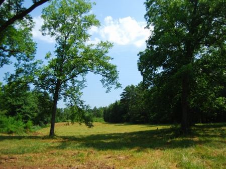 14.39 On Shaw Rd, Walnut Grove Comm : Woodruff : Spartanburg County : South Carolina