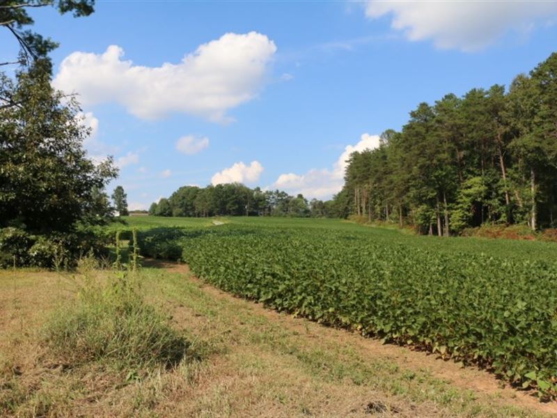 Land for Sale in Dobson, NC, Farm for Sale in North Carolina, 177370
