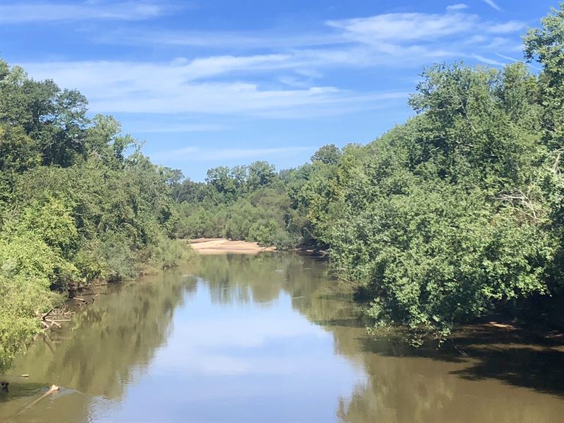 Beechwood Farms Hunting Preserve : Marshallville : Macon County : Georgia