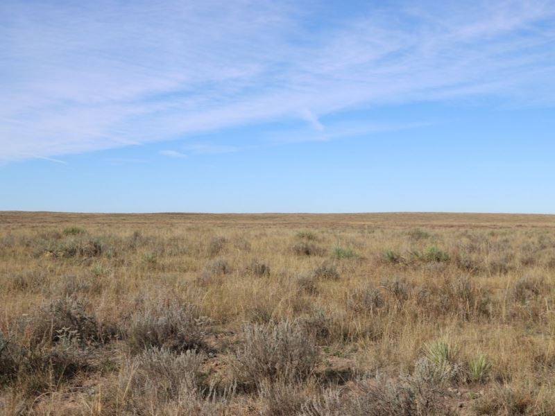 Brown, Yuma, Pasture Land Auction : Yuma : Yuma County : Colorado