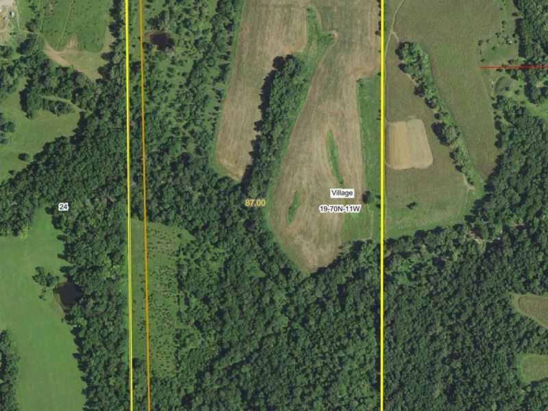 88 Acre Farm in Van Buren County : Selma : Van Buren County : Iowa
